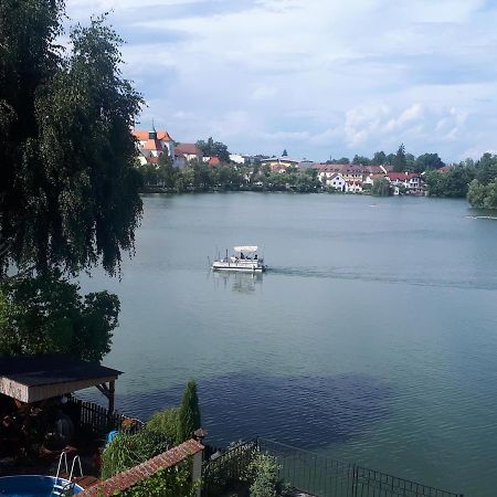 Apartmany Setkova Vila 因德日赫城堡 外观 照片